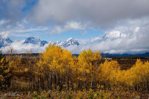 Gallerie Grand Teton1