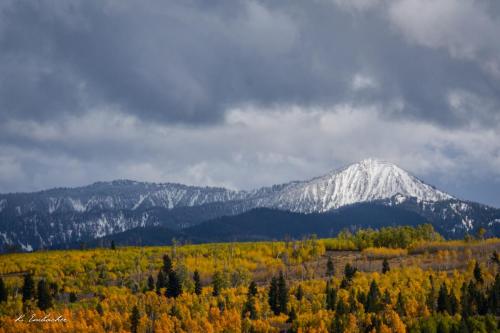 Gallerie Grand Teton17