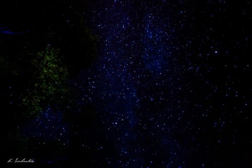 Gallerie Grand Teton24