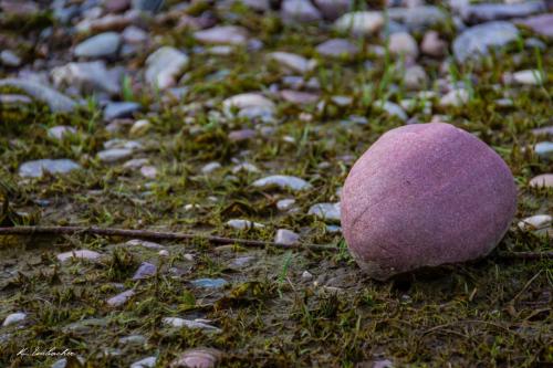 Gallerie Grand Teton8