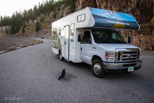 Gallerie Yellowstone23