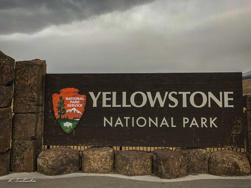 Gallerie Yellowstone35