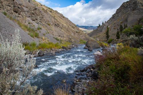 Gallerie Yellowstone42