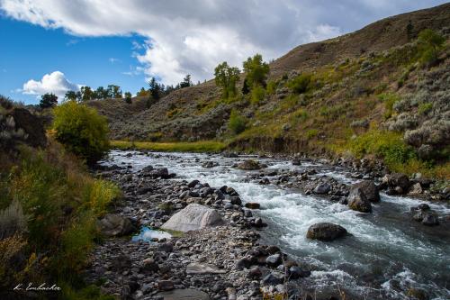 Gallerie Yellowstone43