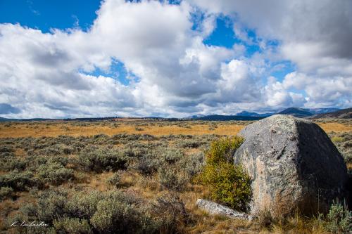 Gallerie Yellowstone44