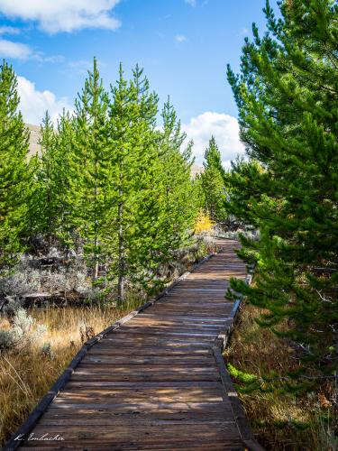 Gallerie Yellowstone46