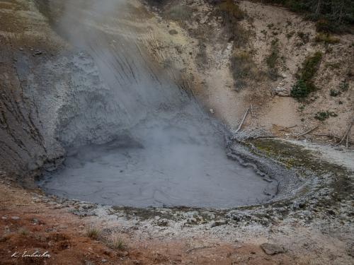 Gallerie Yellowstone53