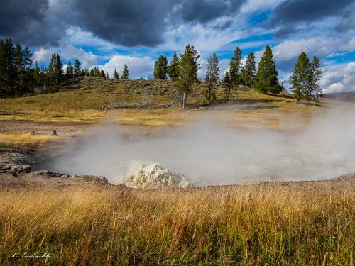 Gallerie Yellowstone56