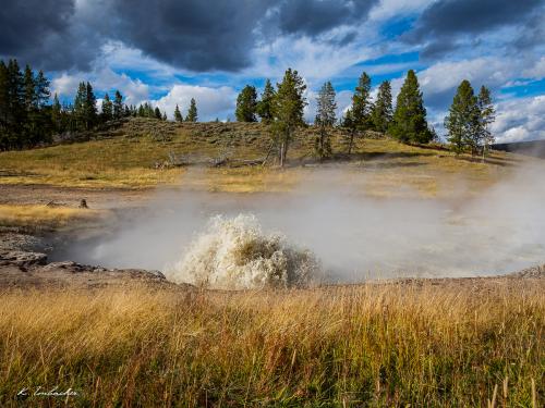 Gallerie Yellowstone57