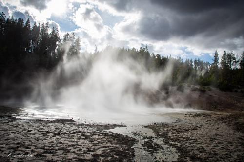 Gallerie Yellowstone59