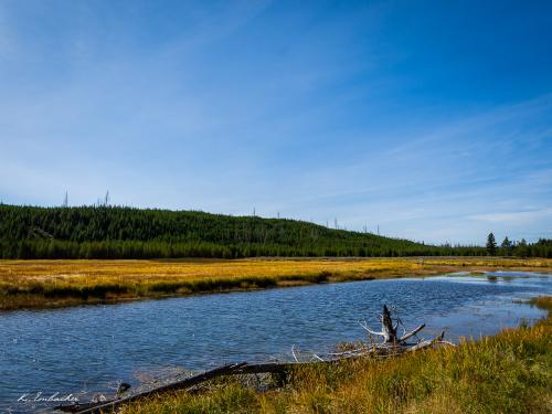 Gallerie Yellowstone5