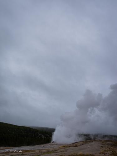 Gallerie Yellowstone62