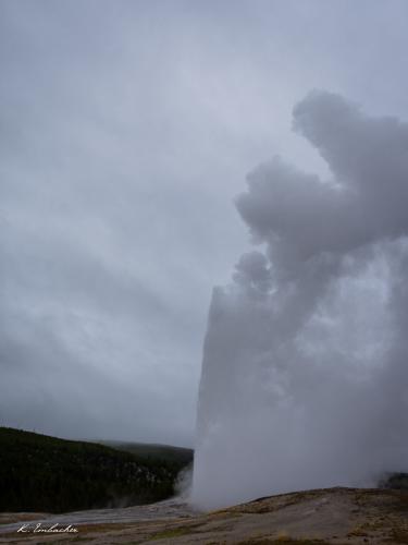 Gallerie Yellowstone63