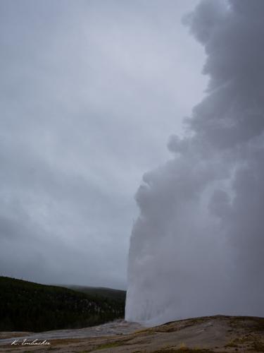 Gallerie Yellowstone64