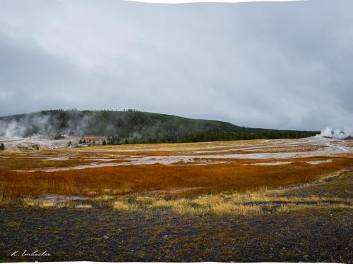 Gallerie Yellowstone66