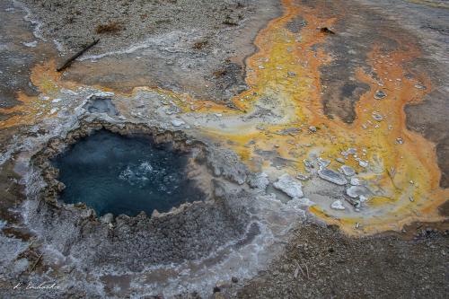 Gallerie Yellowstone67