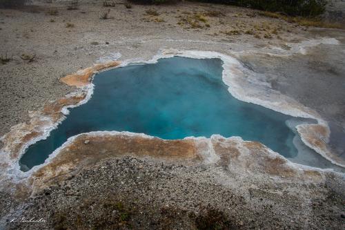 Gallerie Yellowstone68