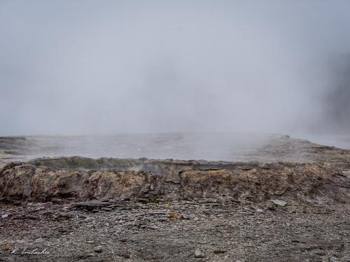 Gallerie Yellowstone69