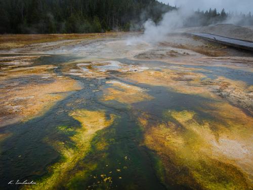 Gallerie Yellowstone70
