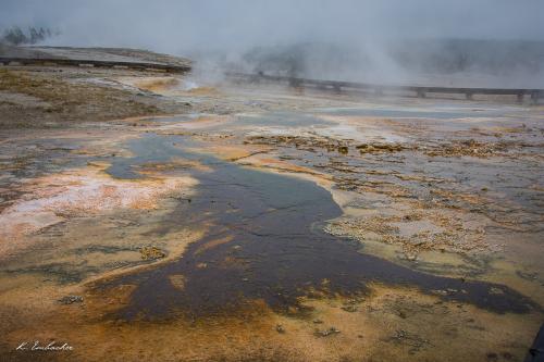 Gallerie Yellowstone71