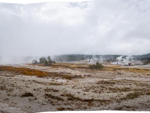 Gallerie Yellowstone73