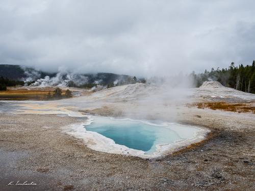 Gallerie Yellowstone75