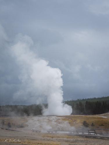 Gallerie Yellowstone77