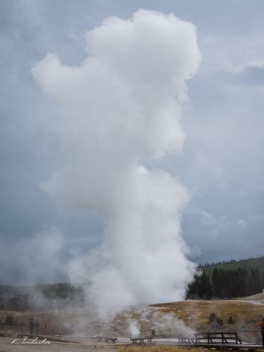 Gallerie Yellowstone78
