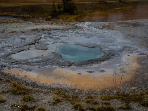 Gallerie Yellowstone79