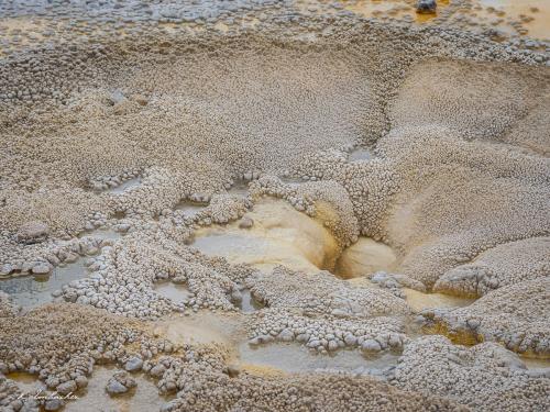 Gallerie Yellowstone80