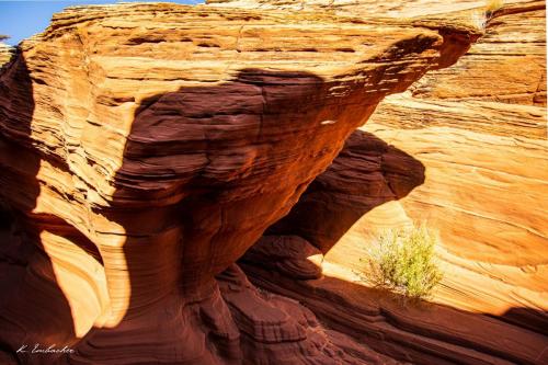 Gallerie Waterholes Canyon2